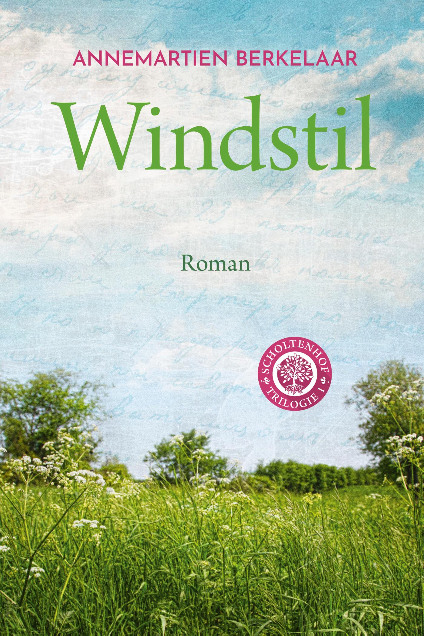 Omslag van Windstil