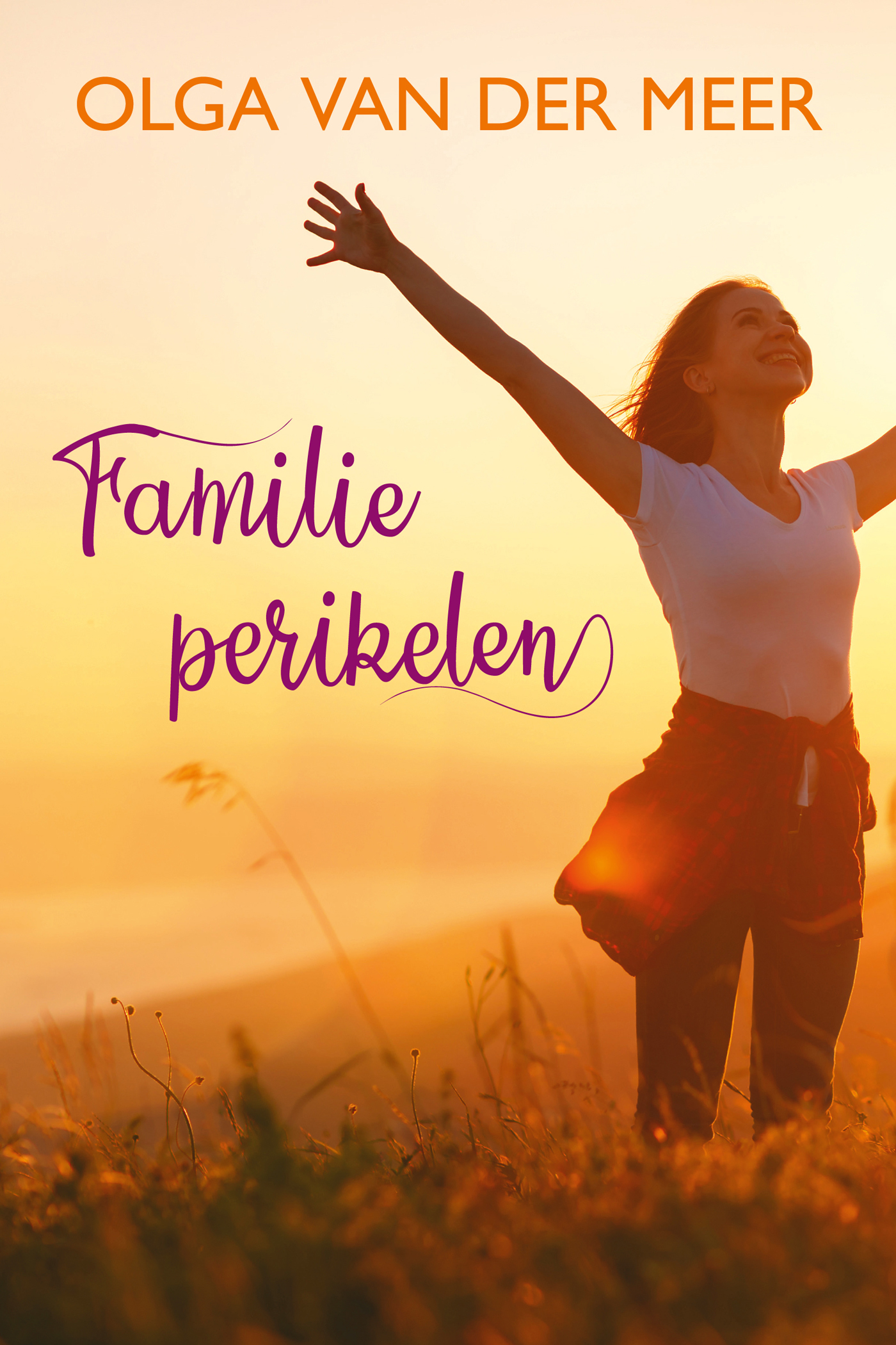 Omslag van Familieperikelen