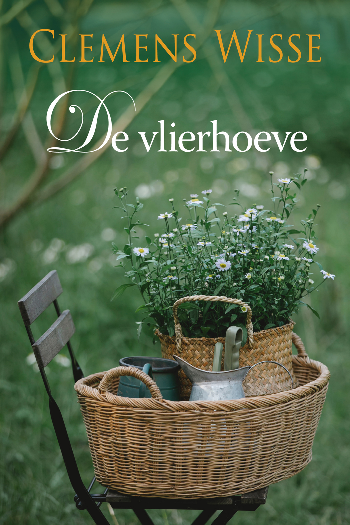 Omslag van De Vlierhoeve