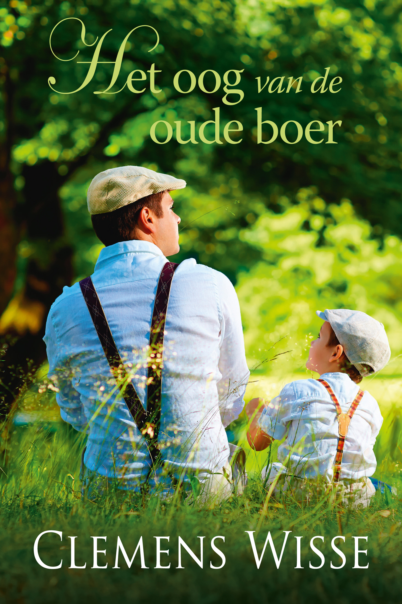 Omslag van Het oog van de oude boer