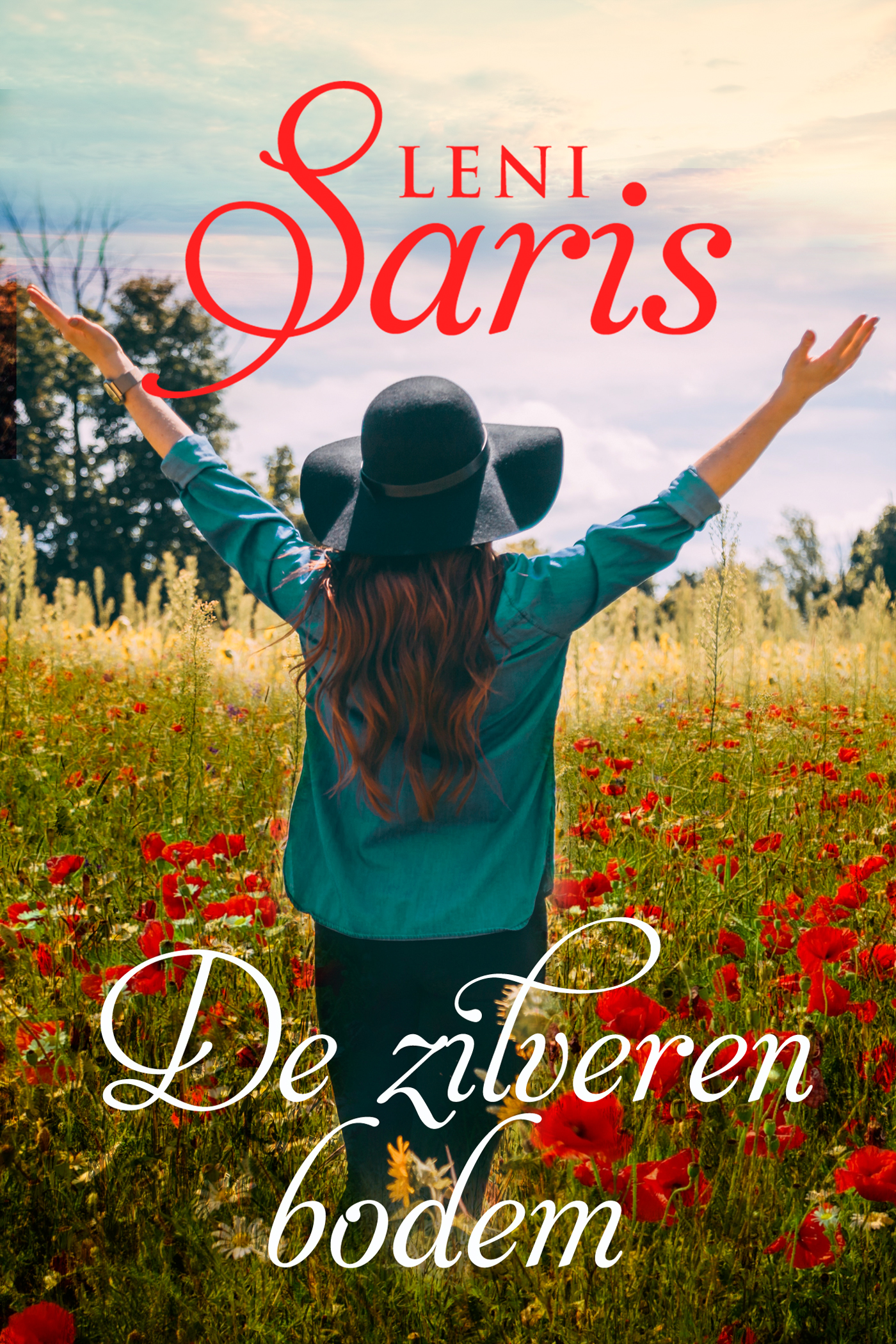 Omslag van De zilveren bodem