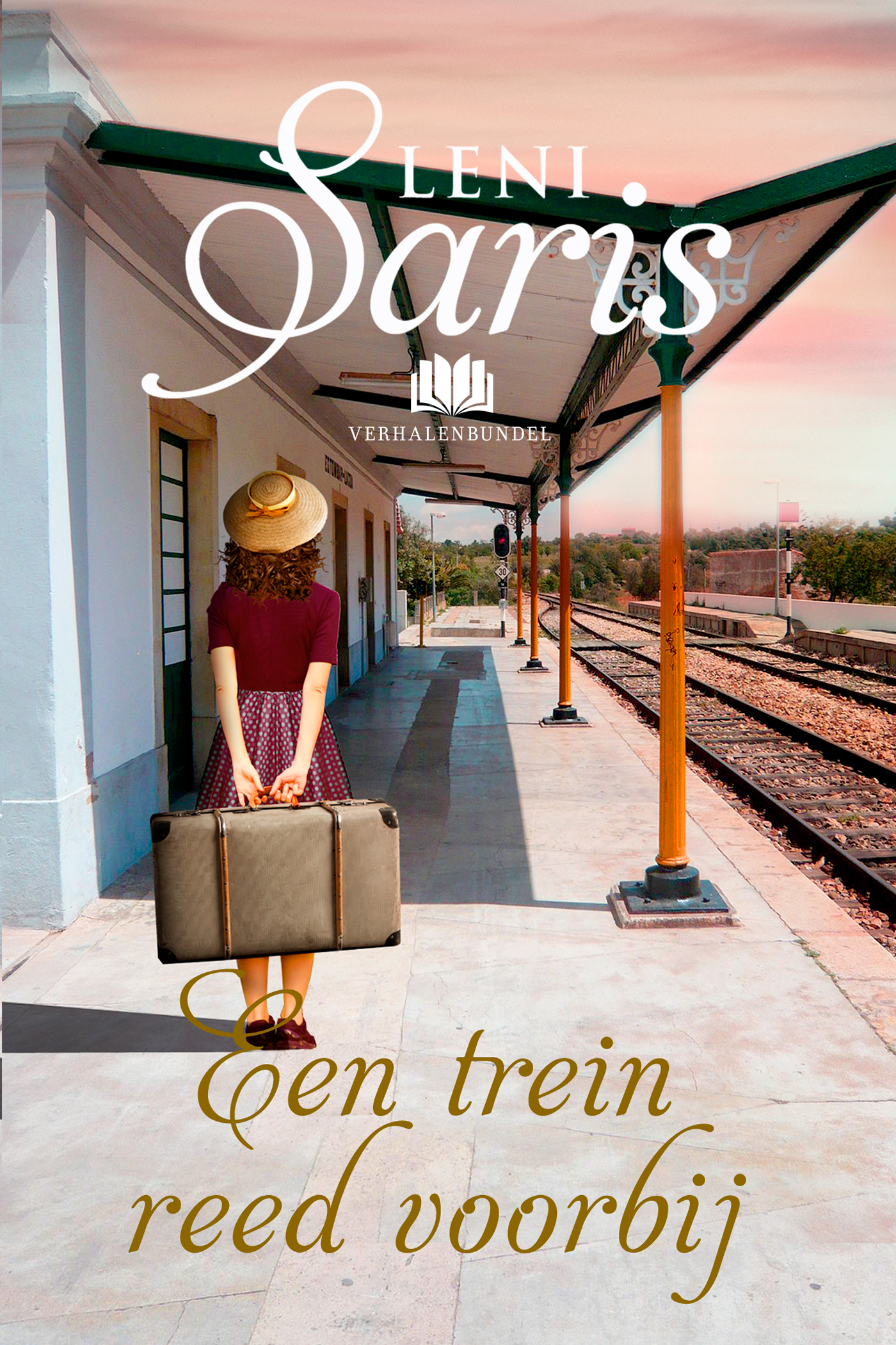 Omslag van Een trein reed voorbij