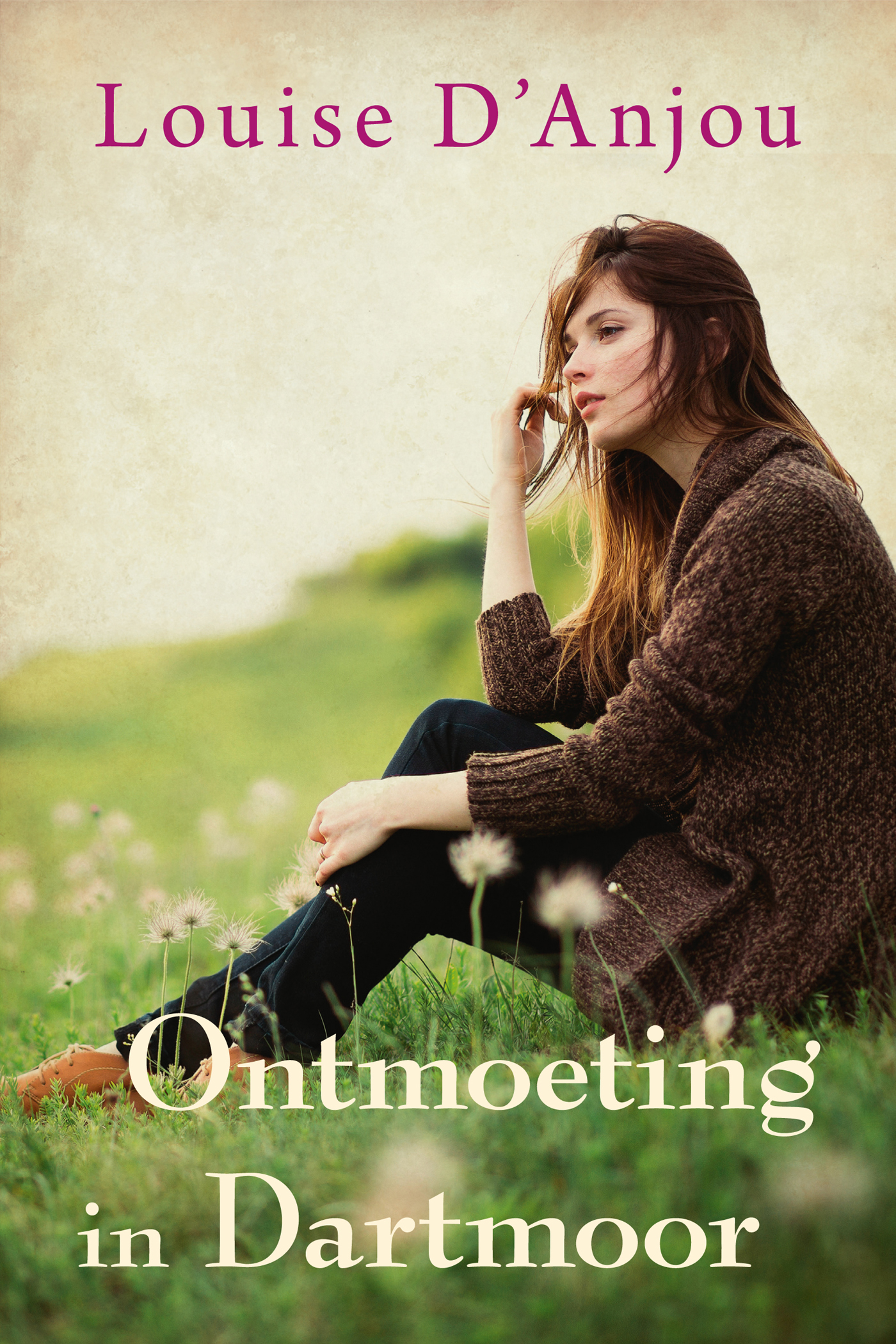 Omslag van Ontmoeting in Dartmoor
