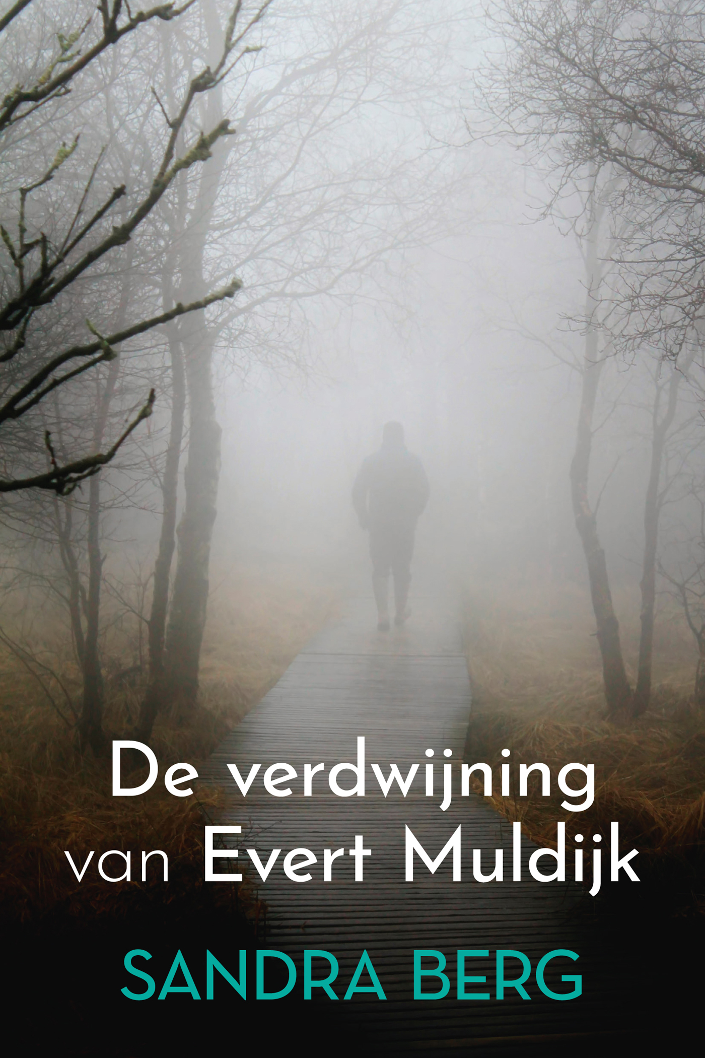Omslag van De verdwijning van Evert Muldijk