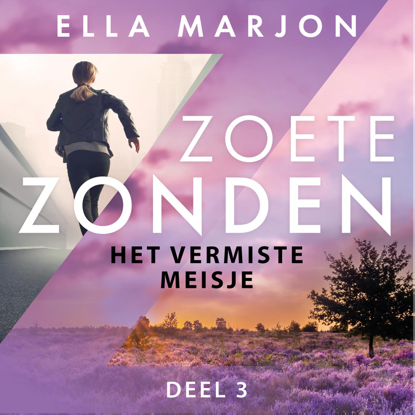 Omslag van Het vermiste meisje