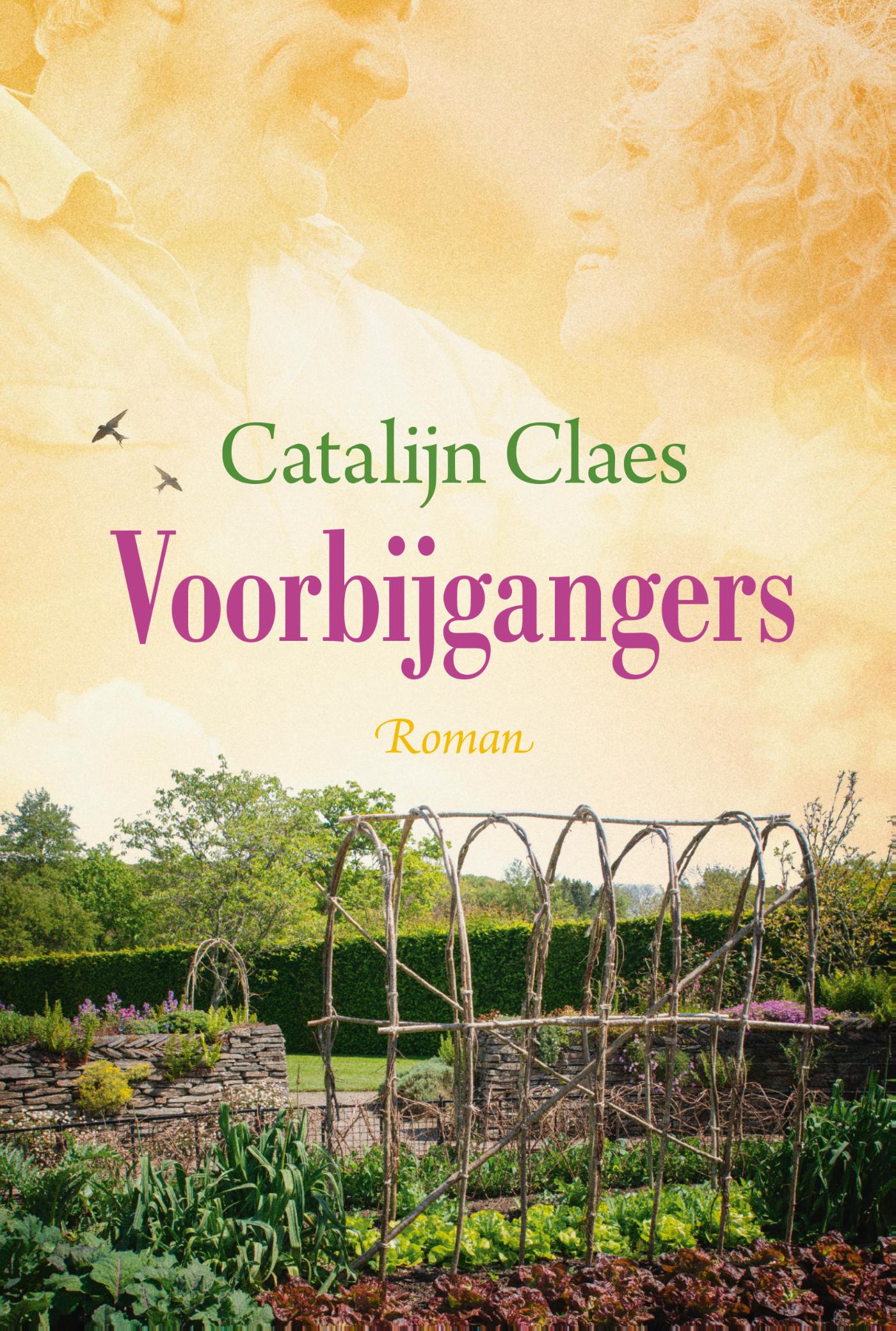 Omslag van Voorbijgangers