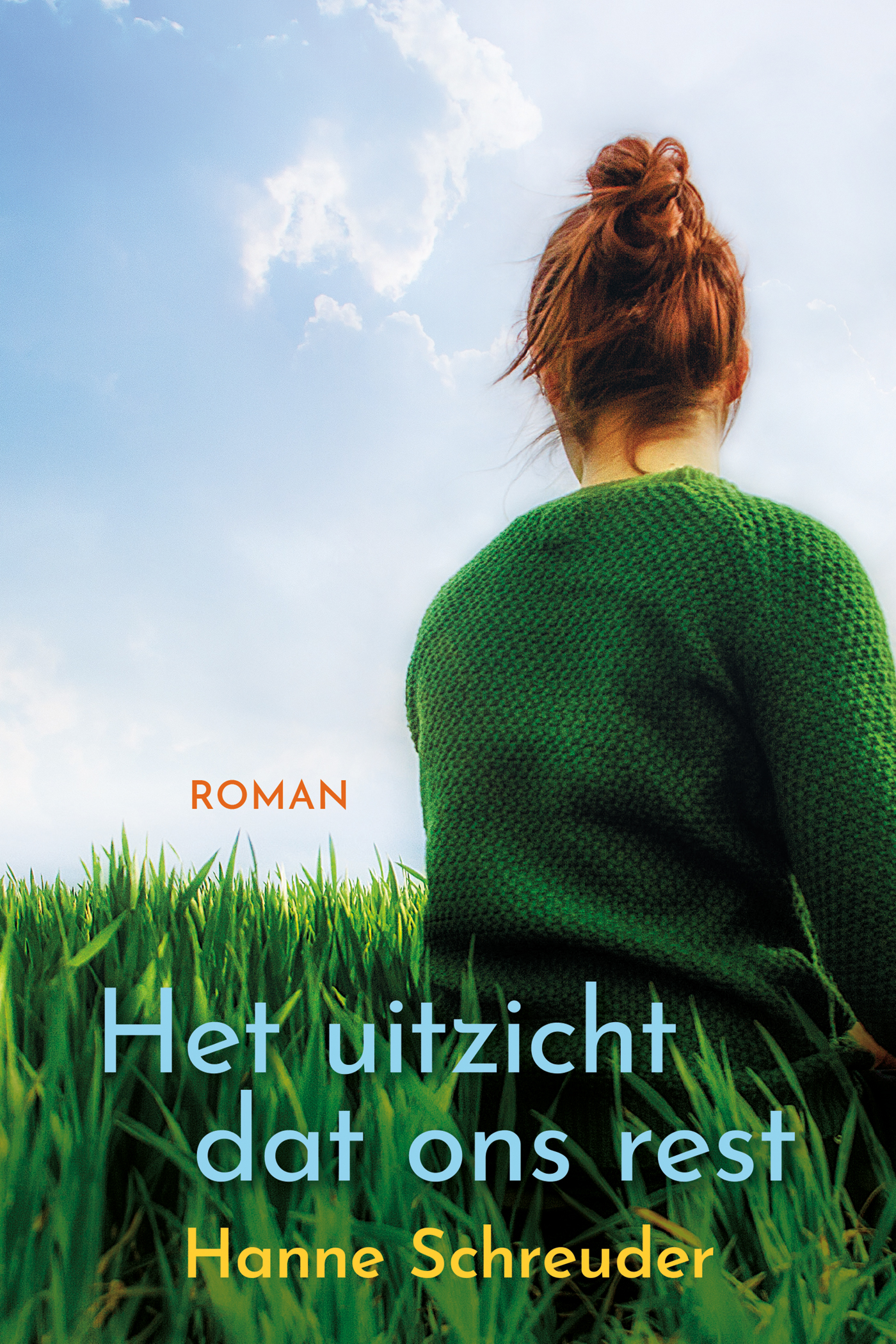 Omslag van Het uitzicht dat ons rest