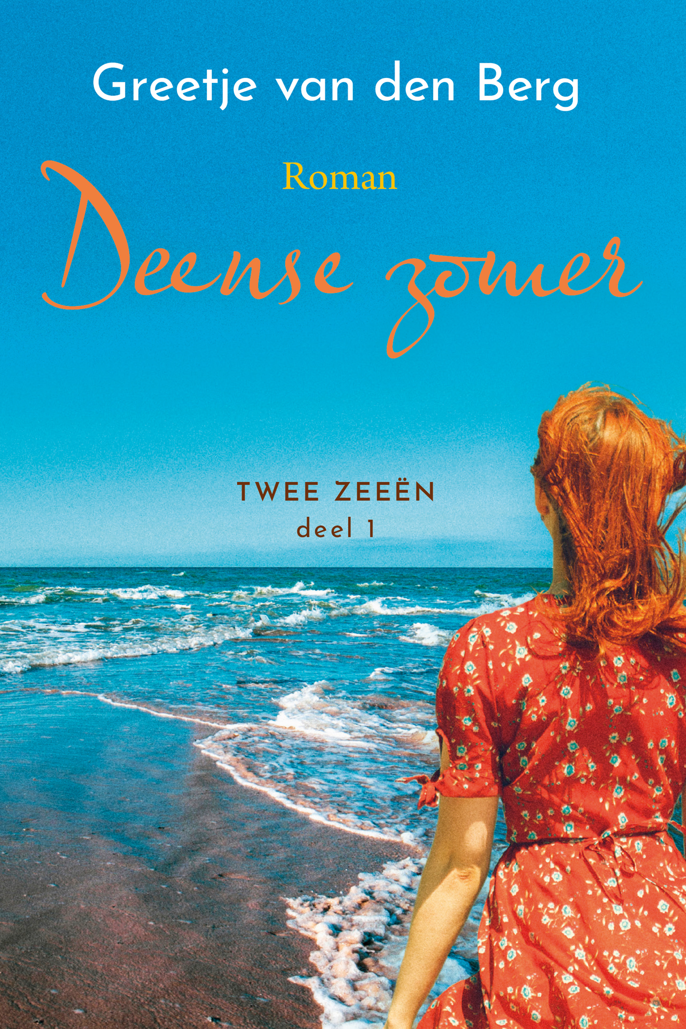 Omslag van Deense zomer