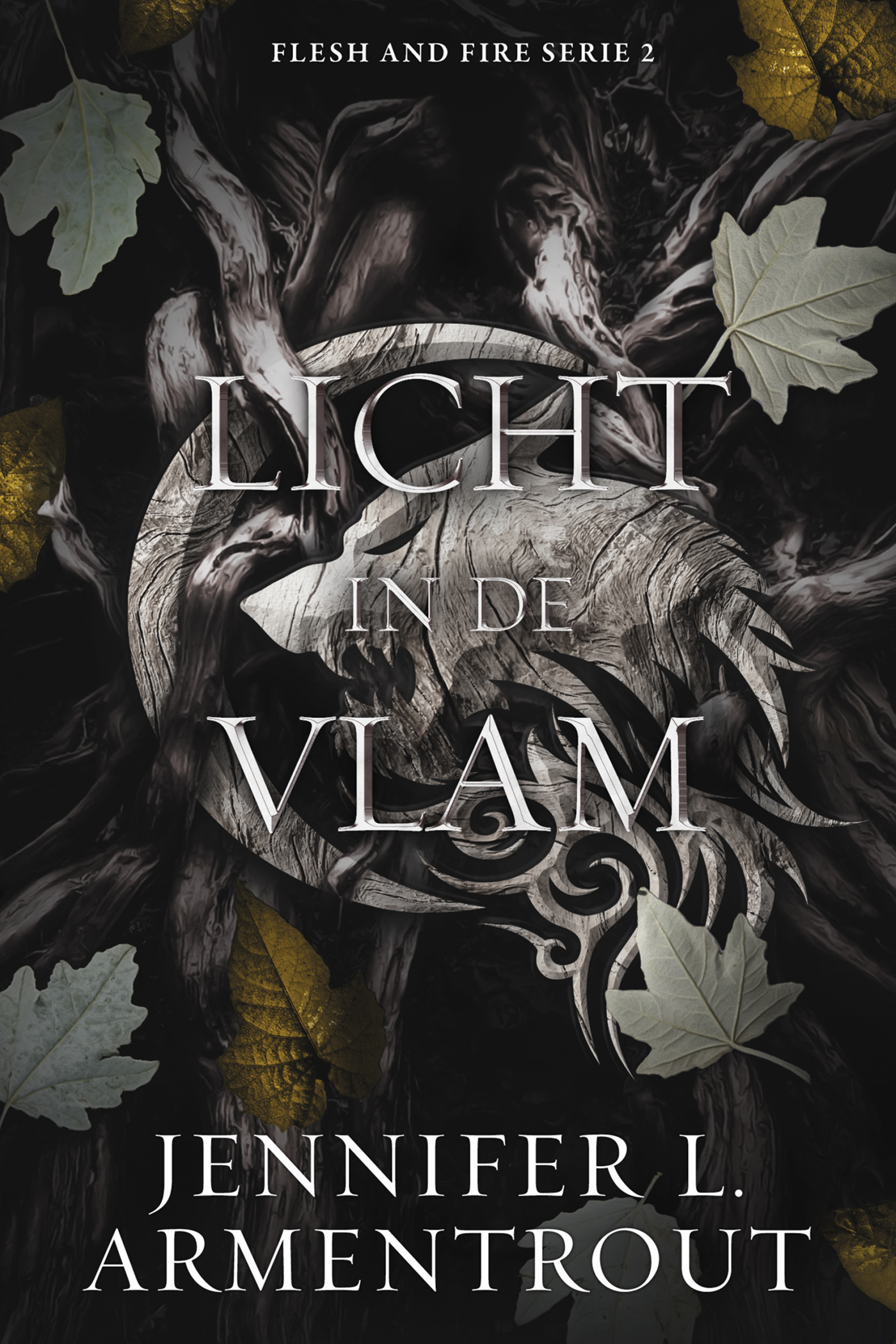 Omslag van Licht in de vlam