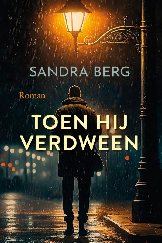 Omslag van Toen hij verdween