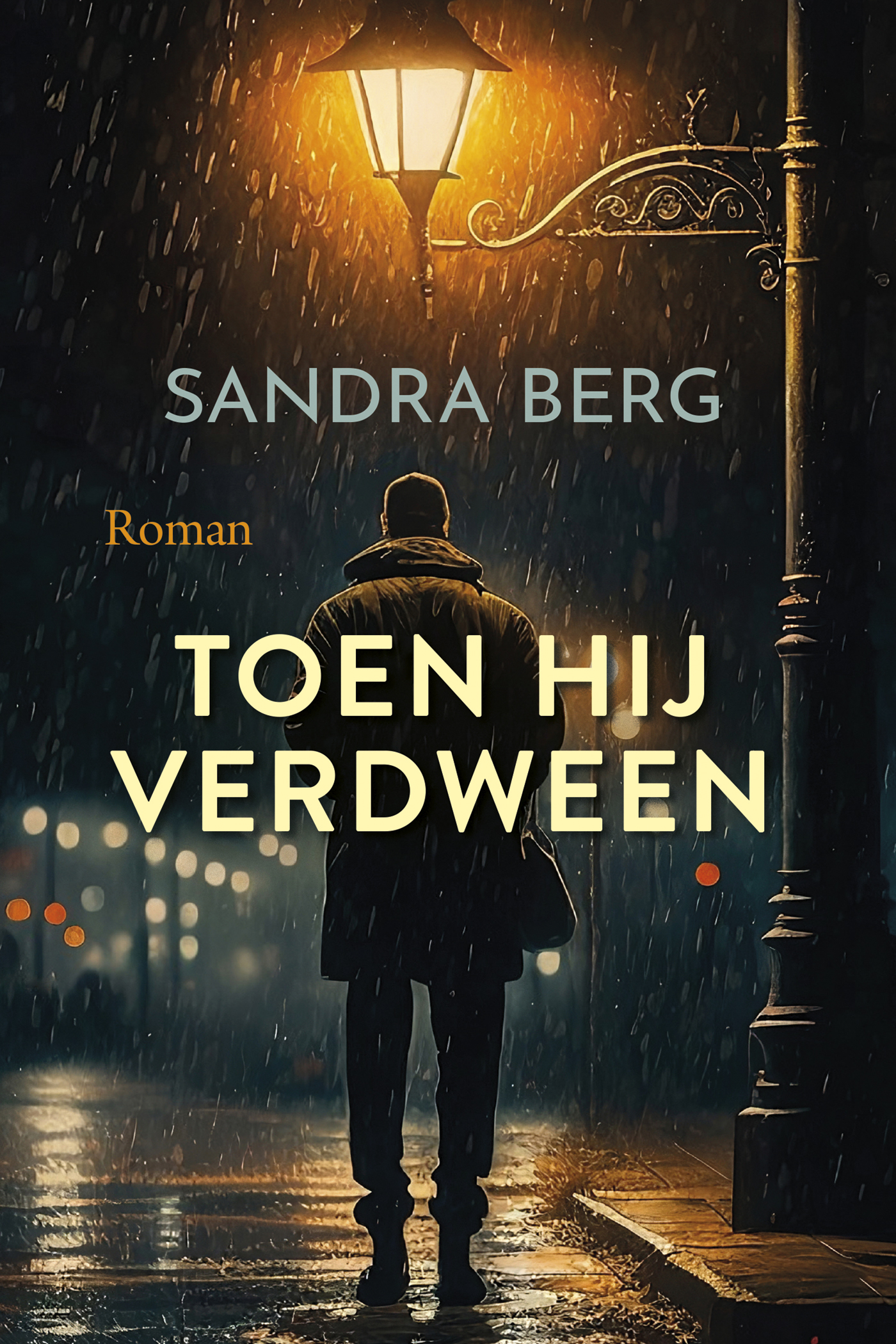 Omslag van Toen hij verdween
