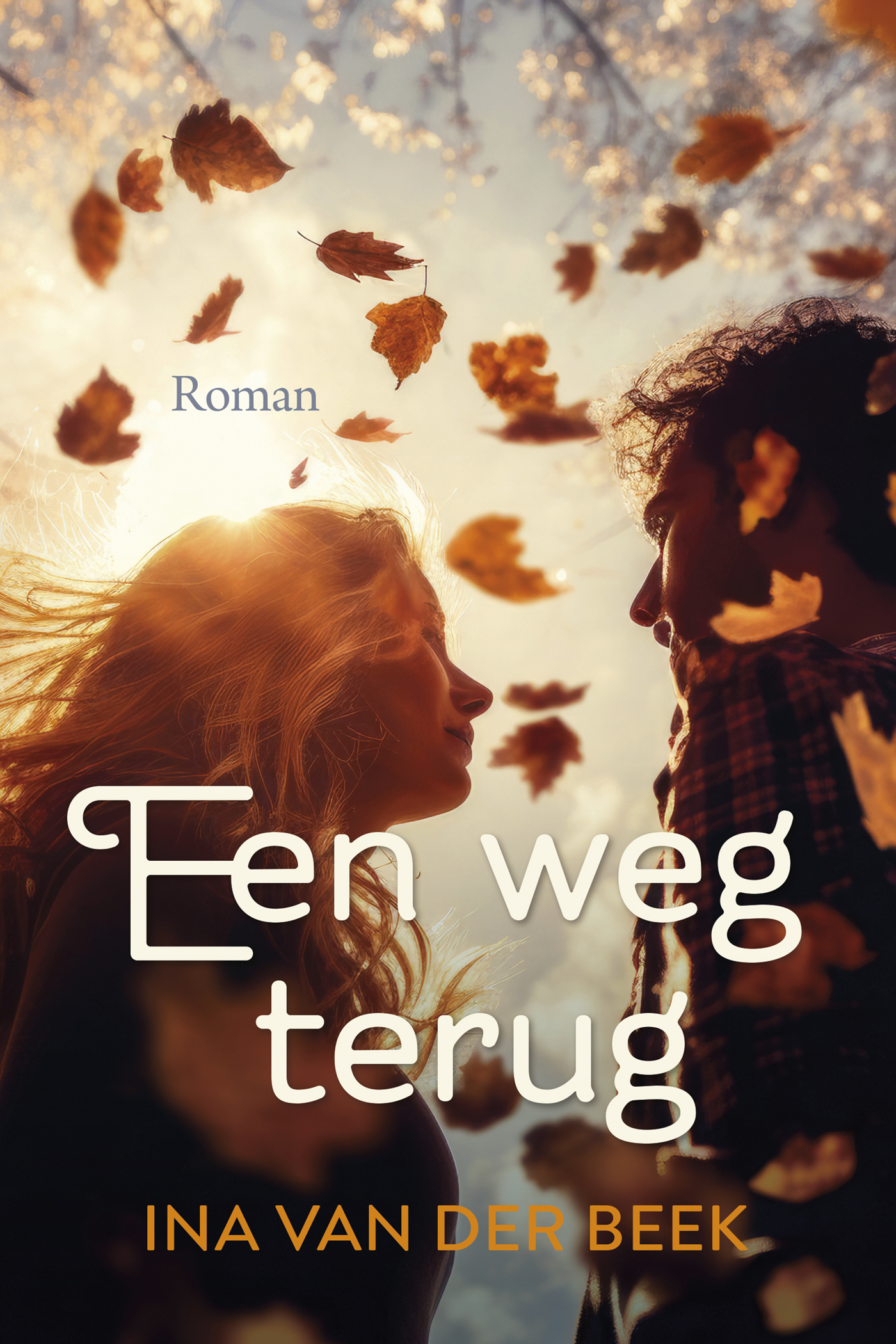 Omslag van Een weg terug