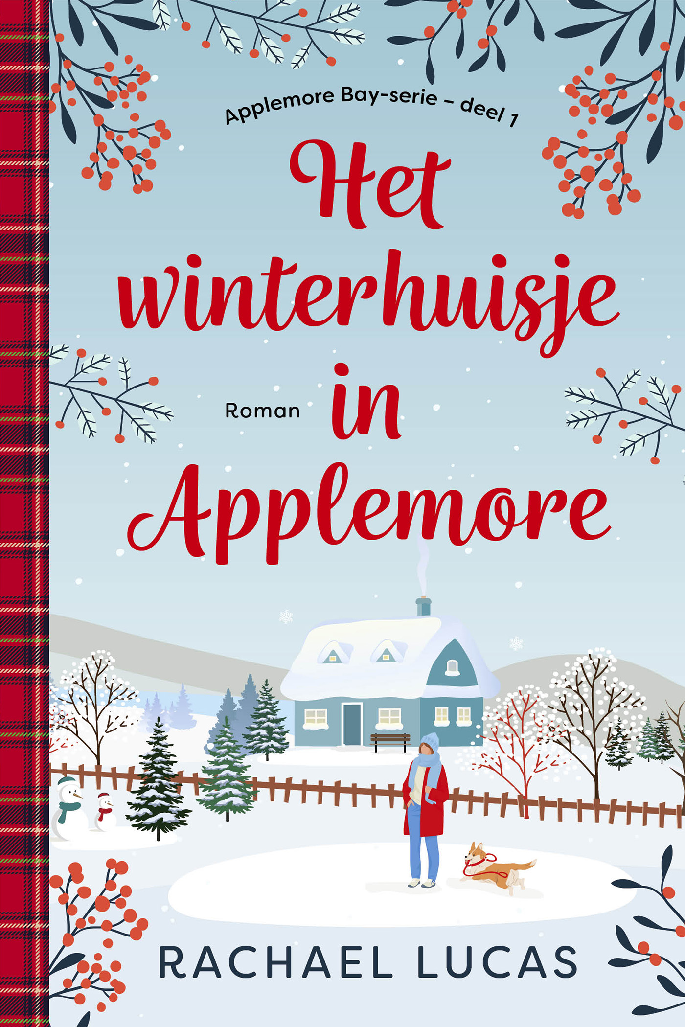Omslag van Het winterhuisje in Applemore