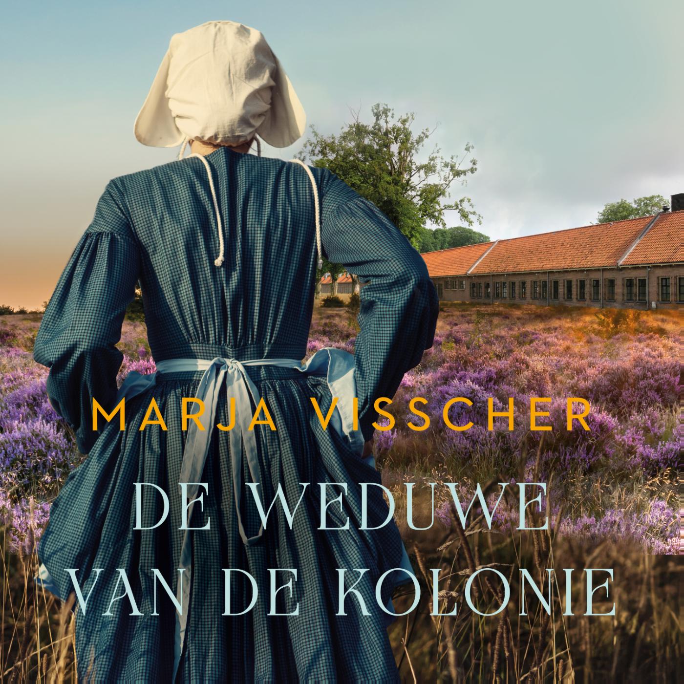 Omslag van De weduwe van de kolonie