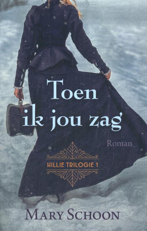 Omslag van Toen ik jou zag