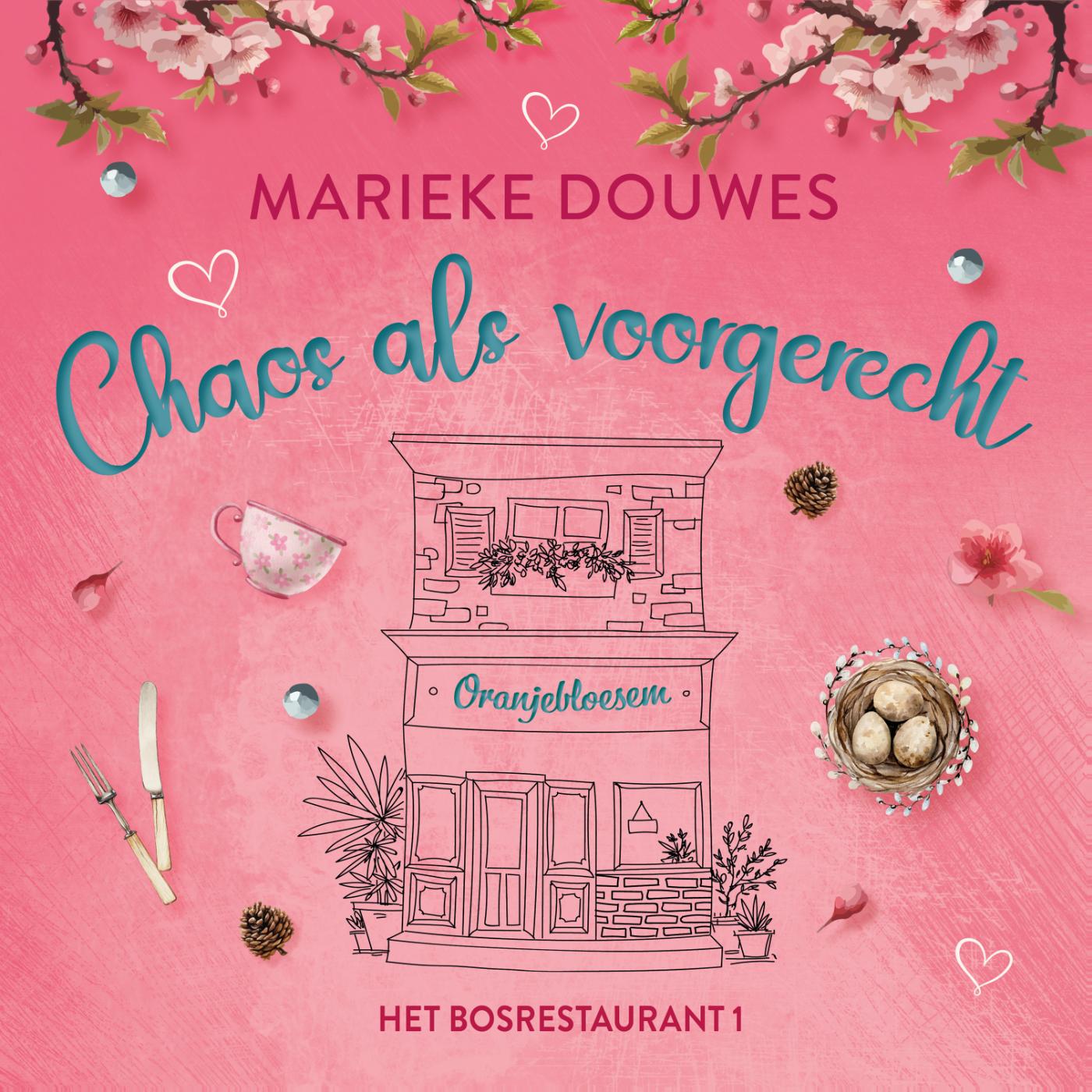 Omslag van Chaos als voorgerecht