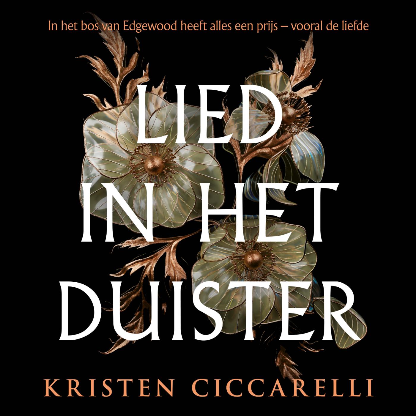 Omslag van Lied in het duister