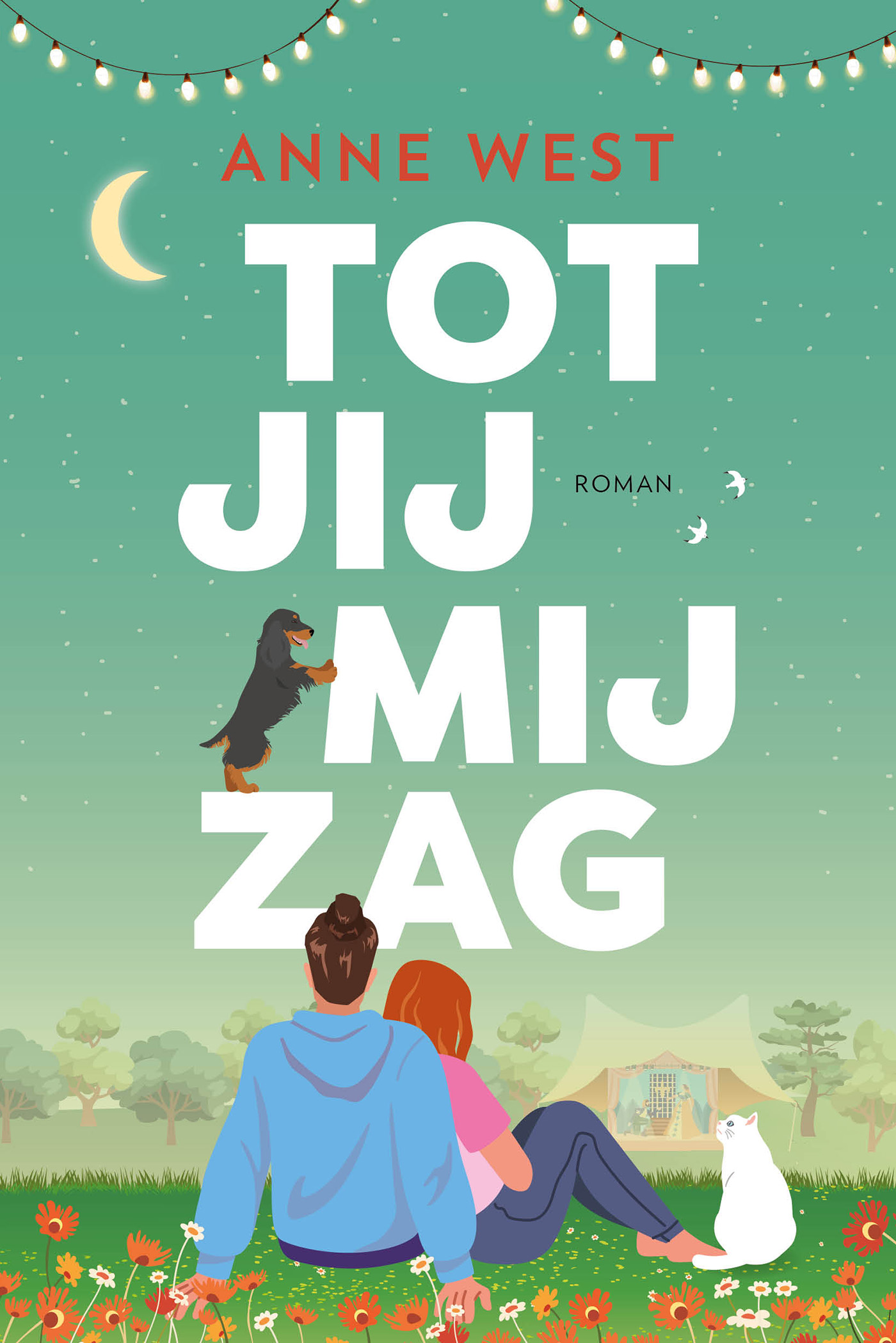 Omslag van Tot jij mij zag