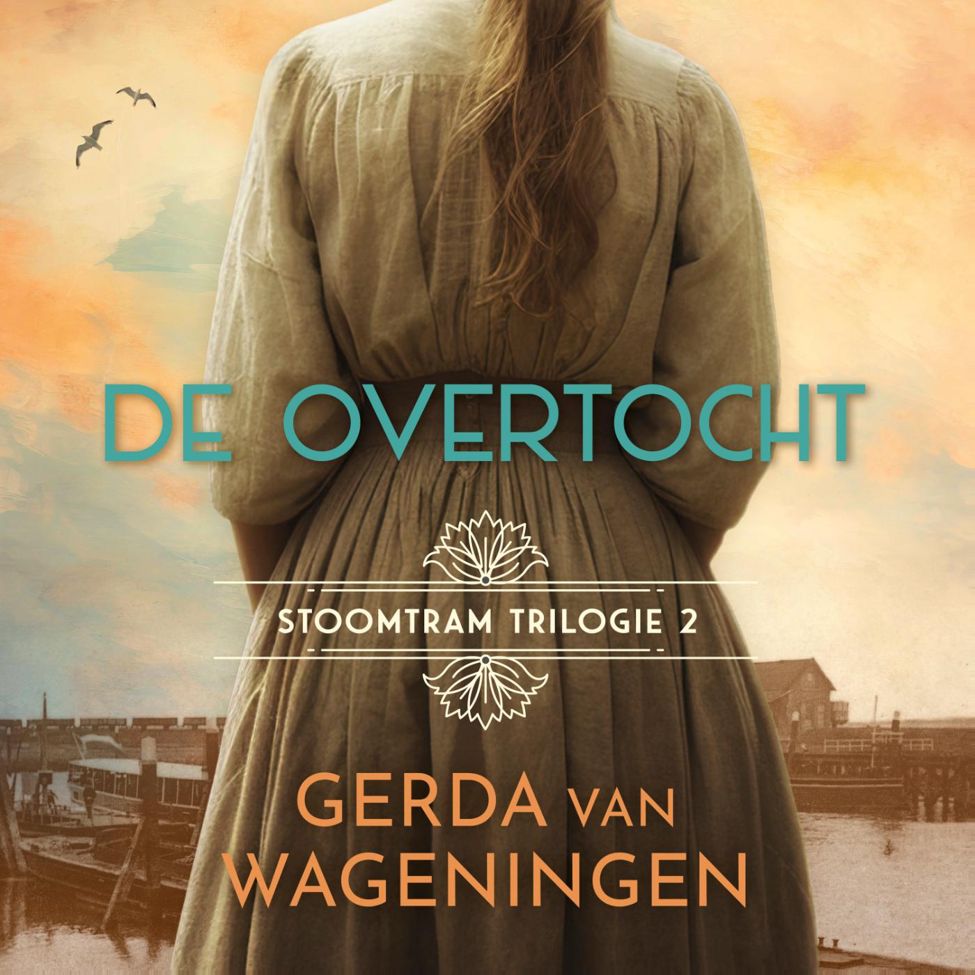 Omslag van De overtocht