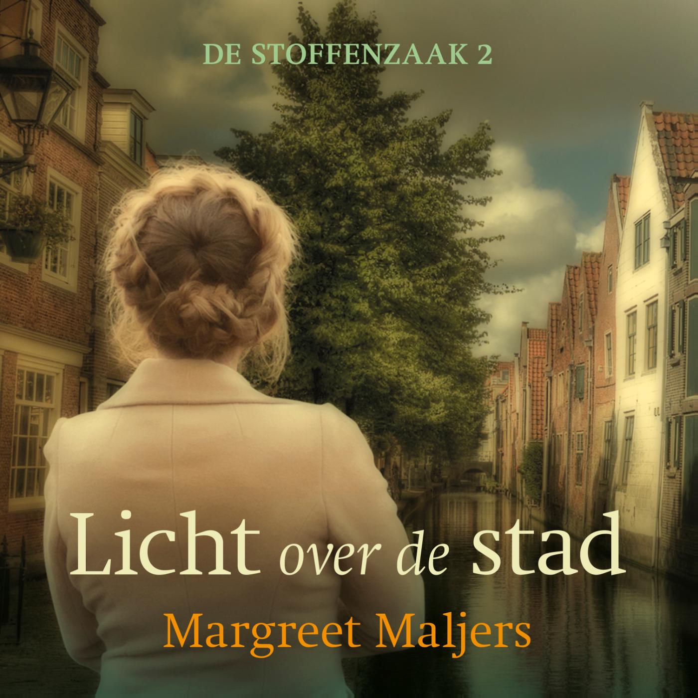 Omslag van Licht over de stad