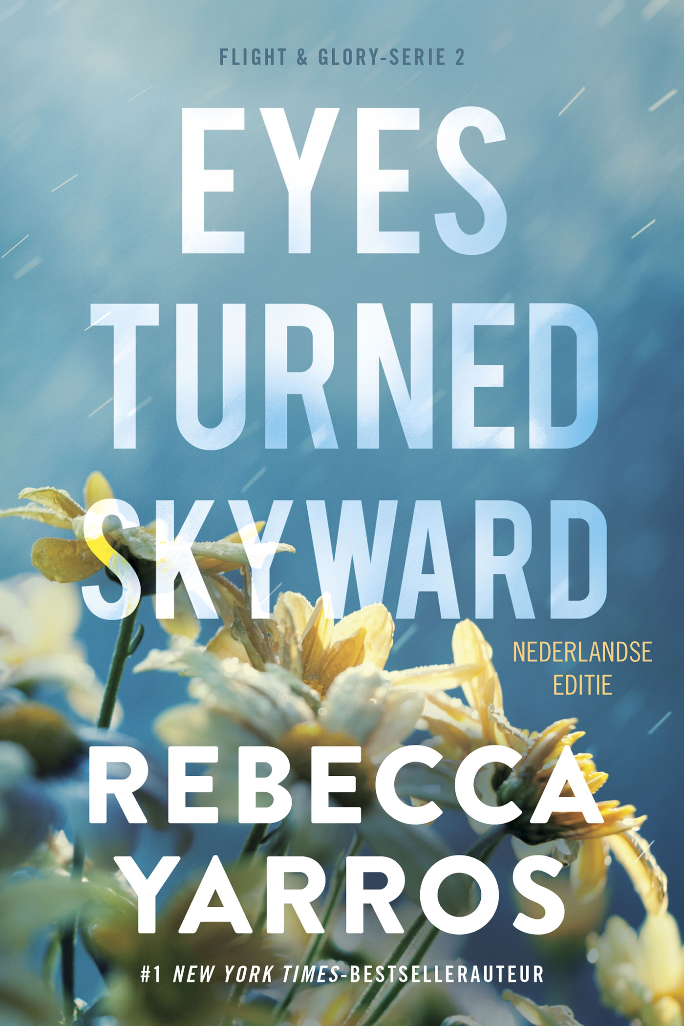 Omslag van Eyes turned skyward