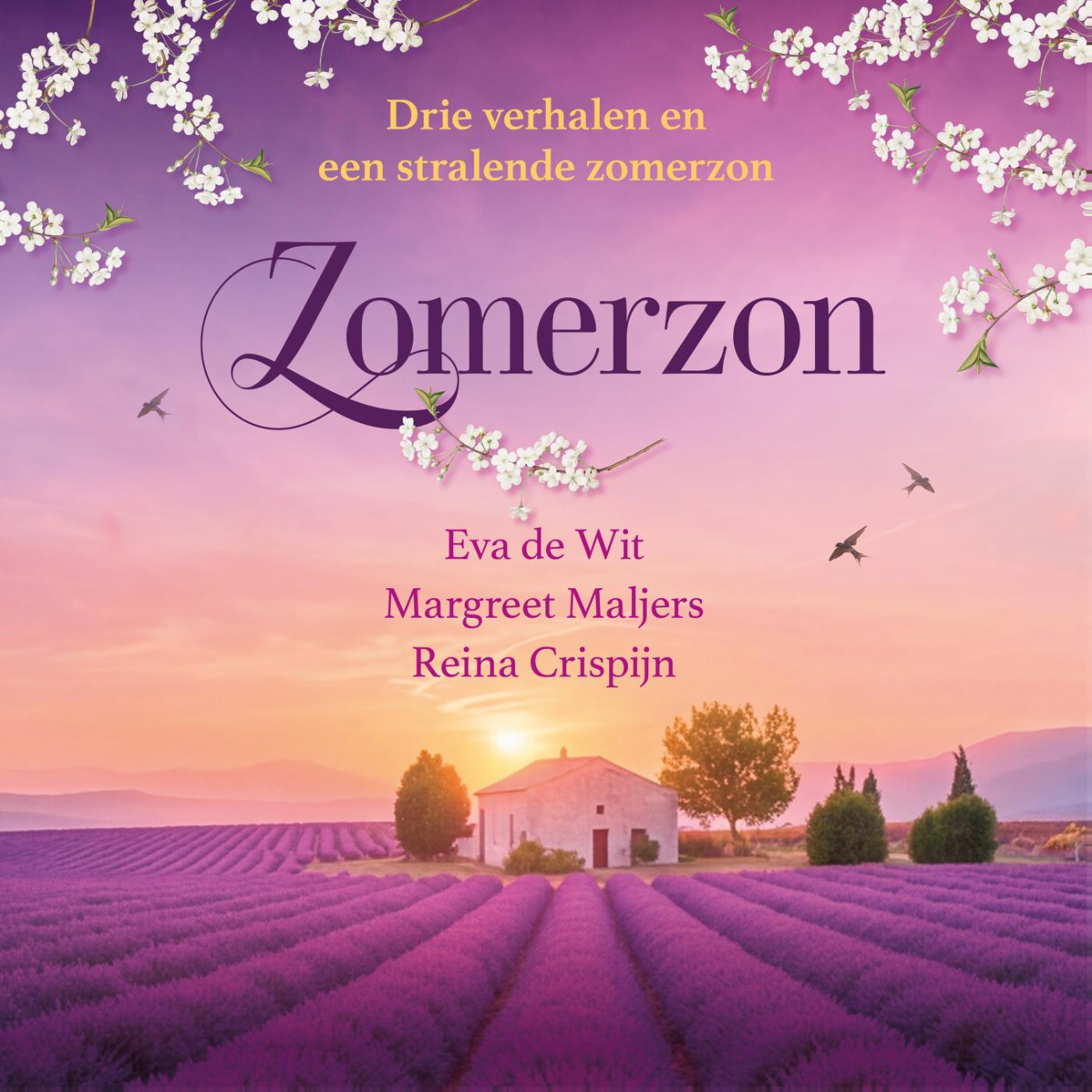 Omslag van Zomerzonbundel