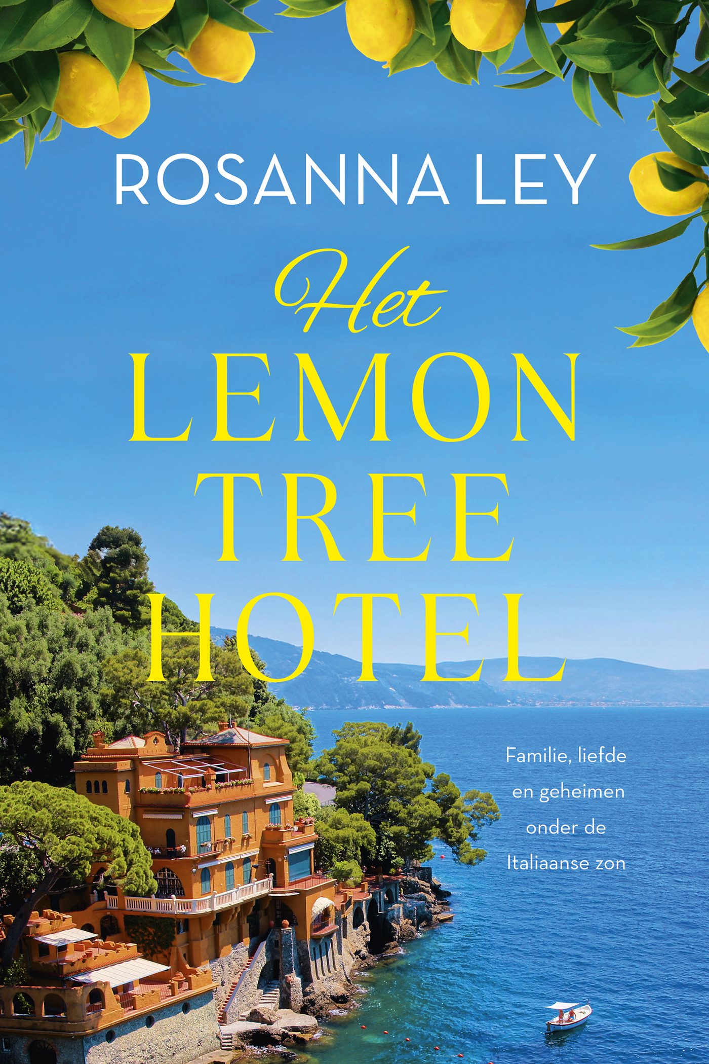 Omslag van Het Lemon Tree Hotel