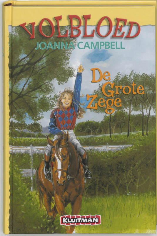 Omslag van De grote zege