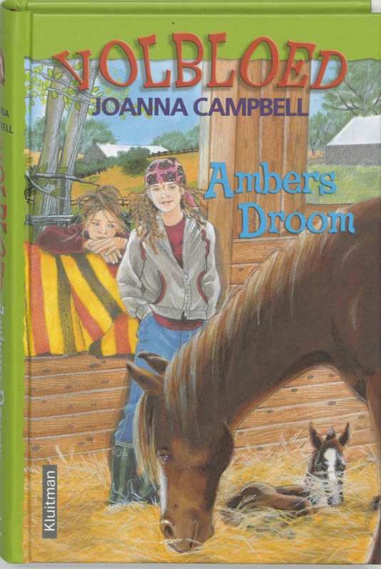 Omslag van Ambers droom