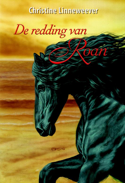 Omslag van De redding van Roan
