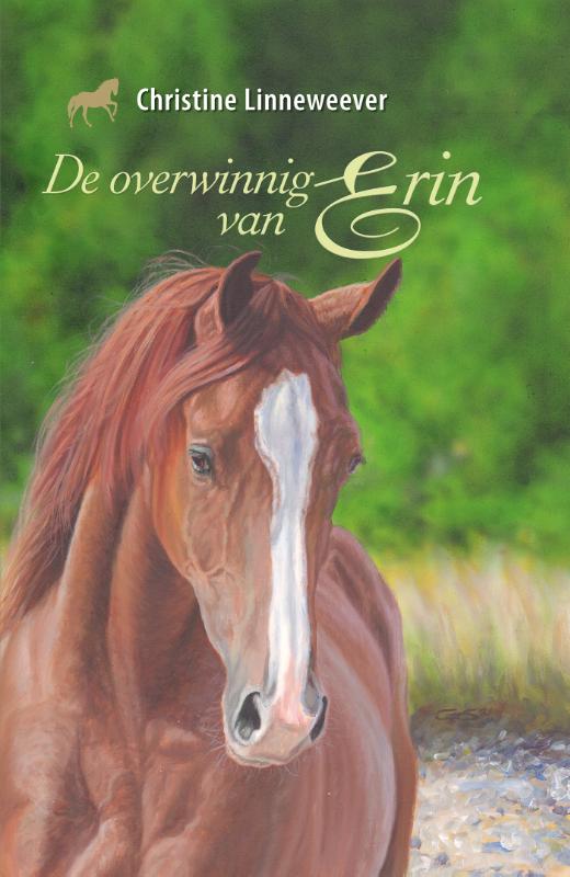 Omslag van De overwinning van Erin