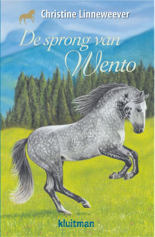 Omslag van De sprong van Wento
