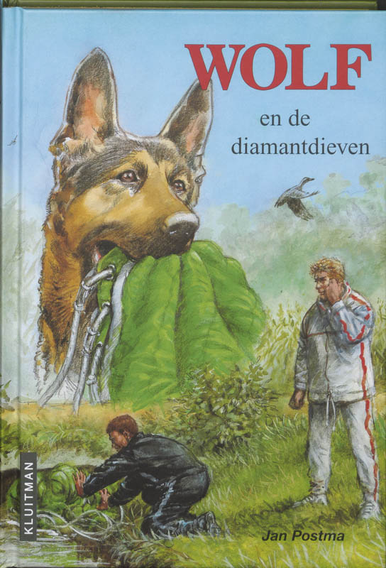 Omslag van Wolf en de diamantdieven