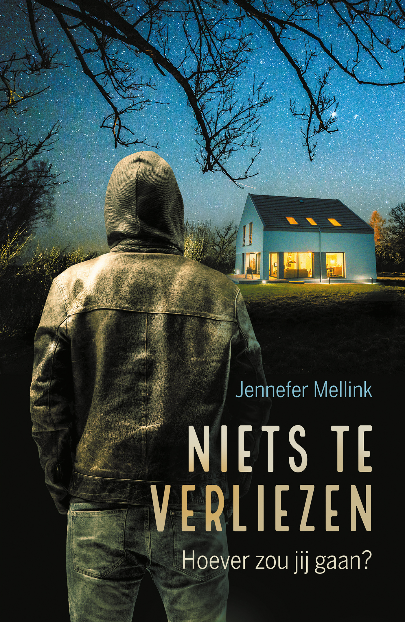 Omslag van Niets te verliezen