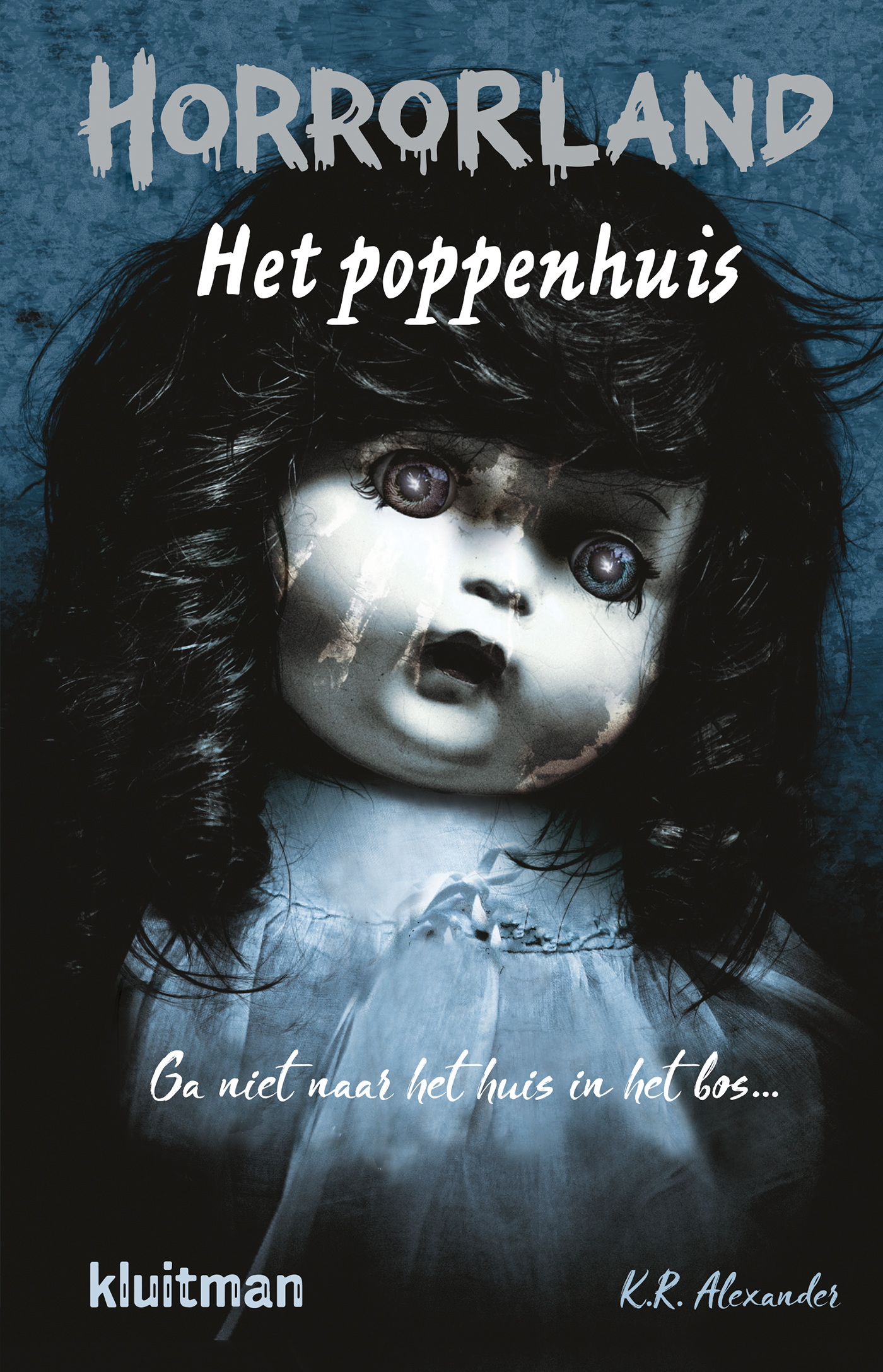 Omslag van Het poppenhuis