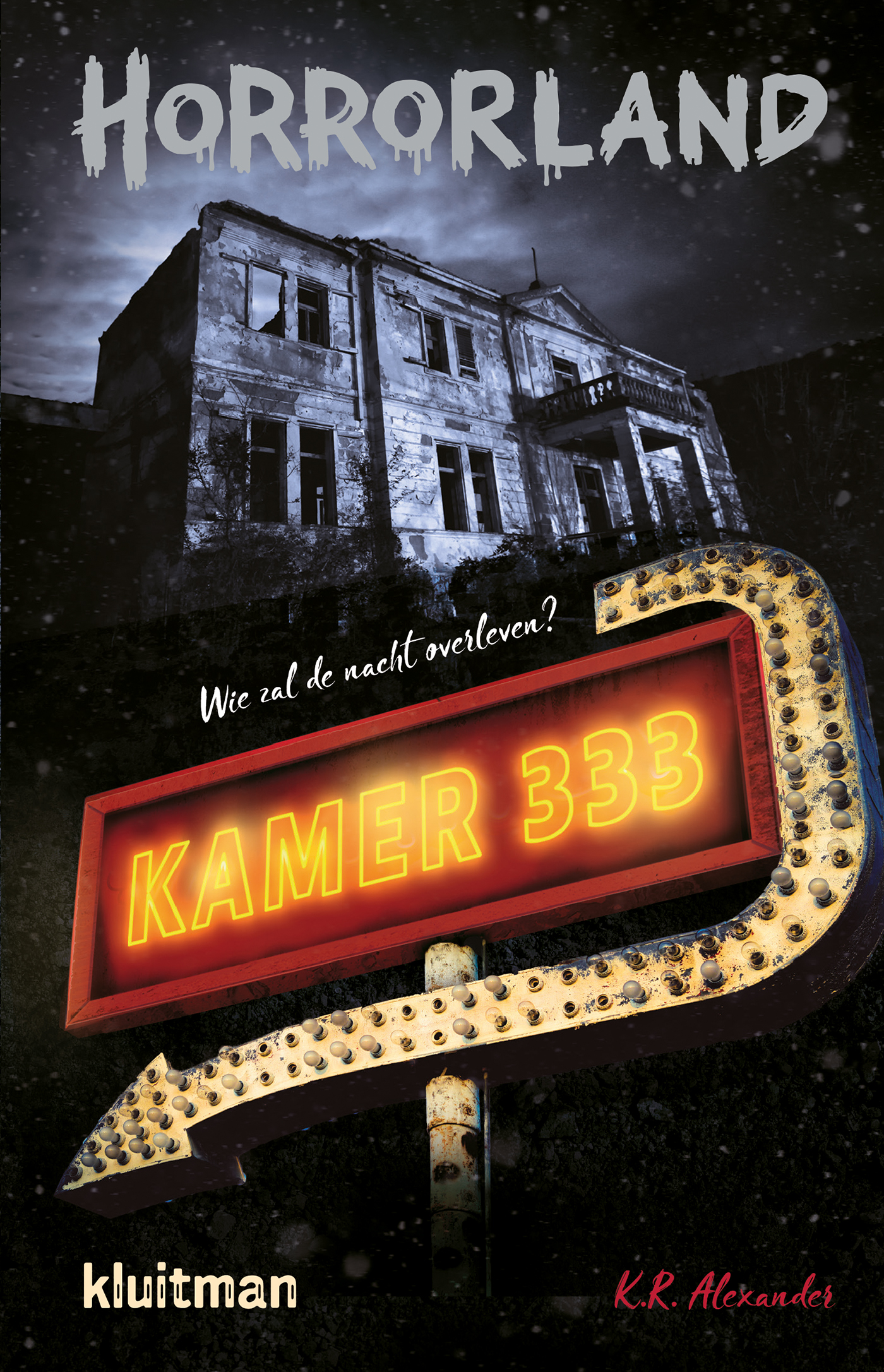 Omslag van Kamer 333