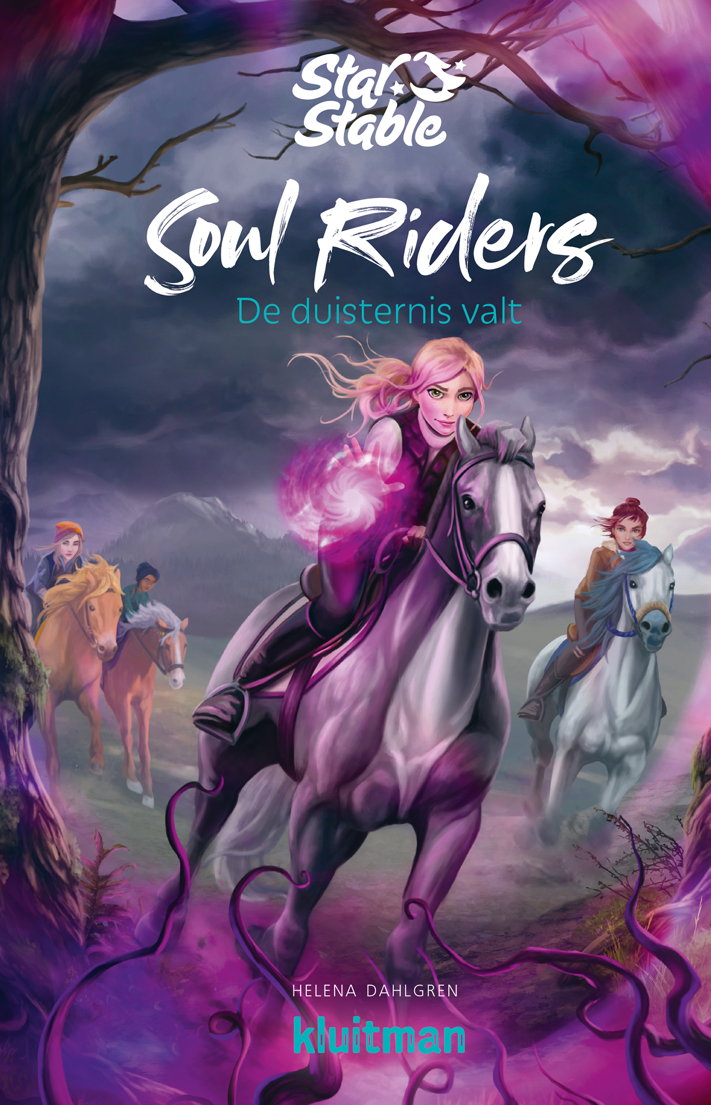 Omslag van De duisternis valt
