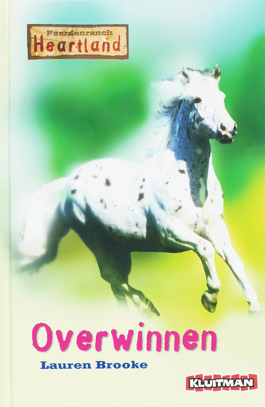 Omslag van Overwinnen