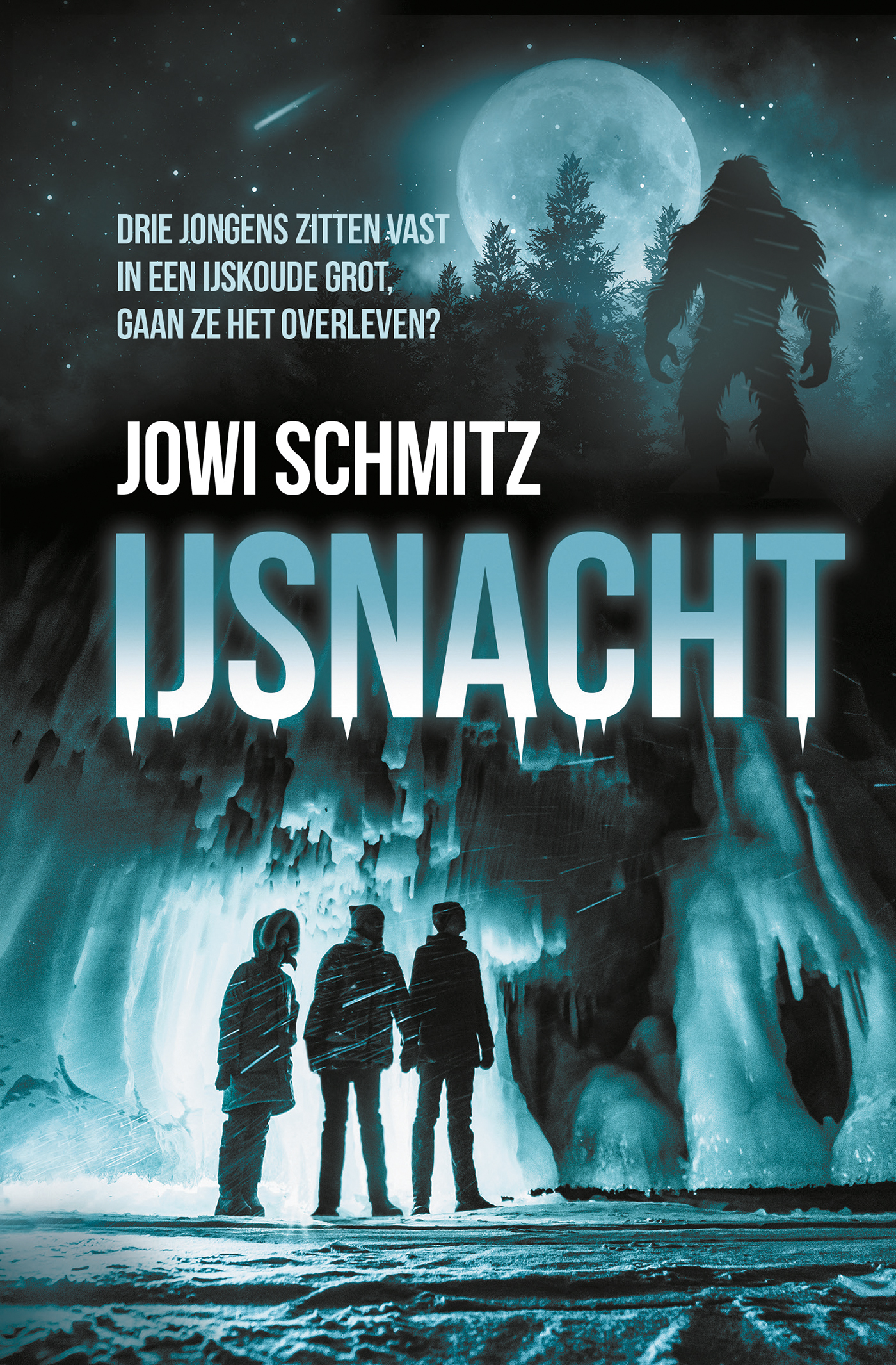 Omslag van IJsnacht