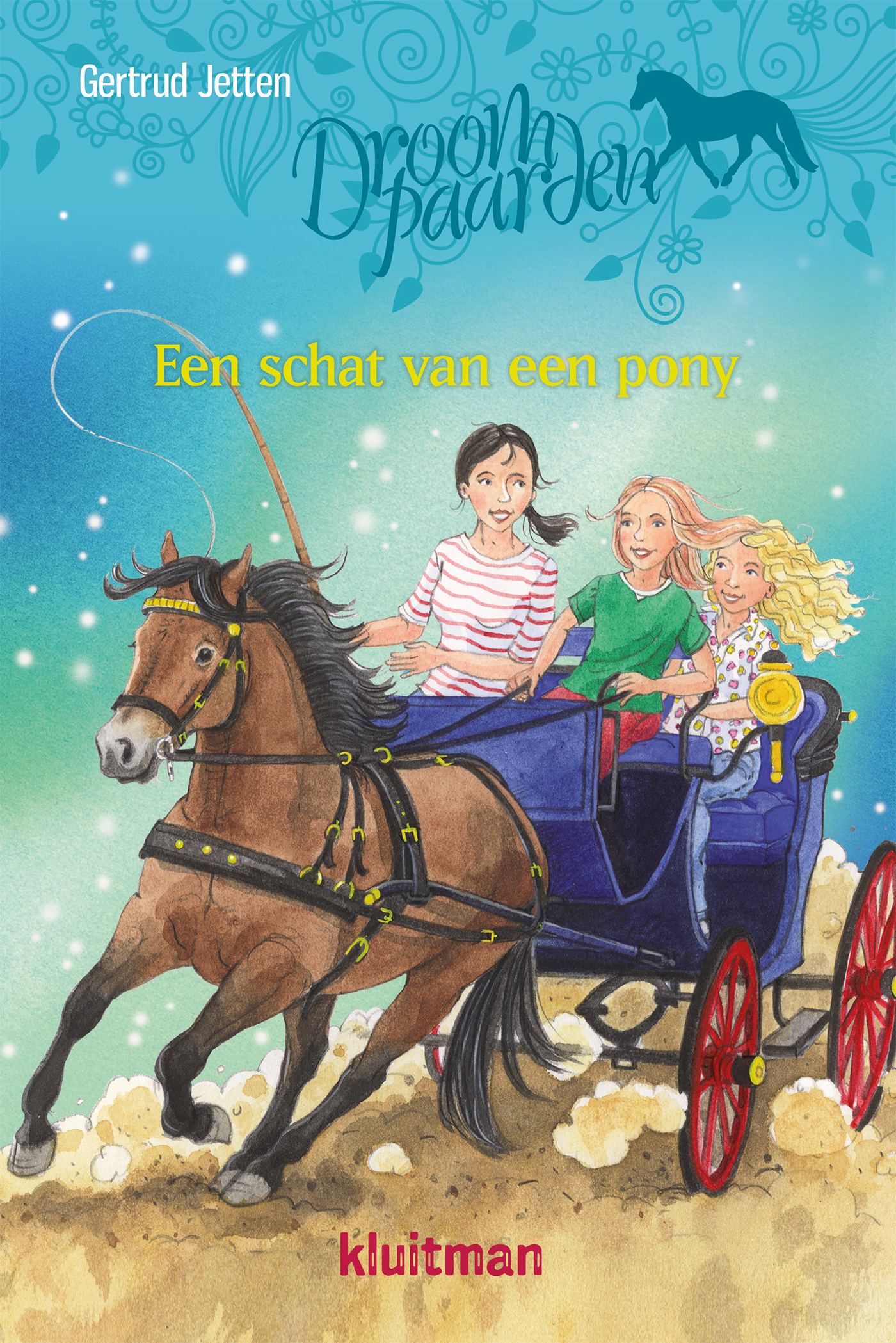 Omslag van Een schat van een pony