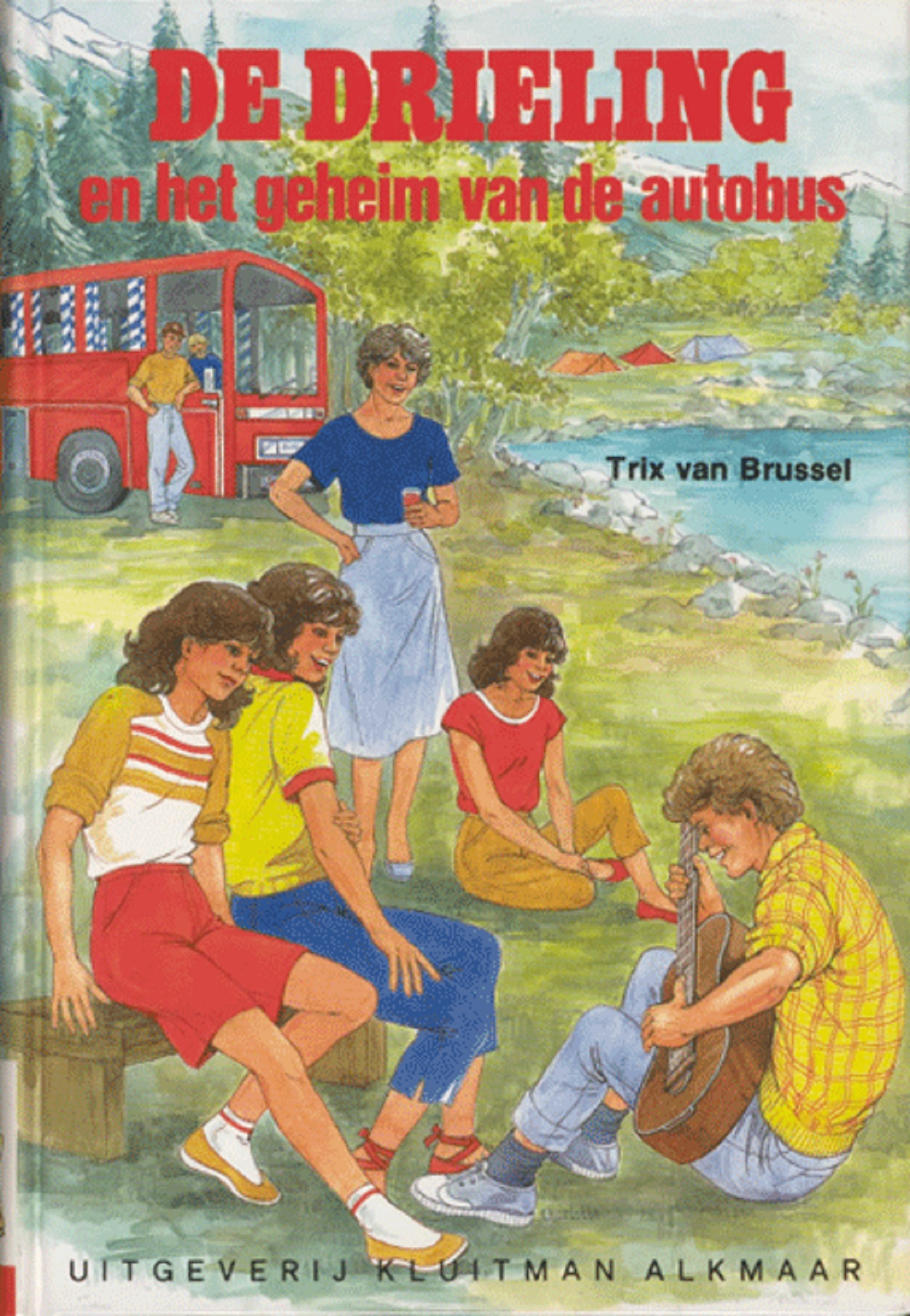 Omslag van De drieling en het geheim van de autobus
