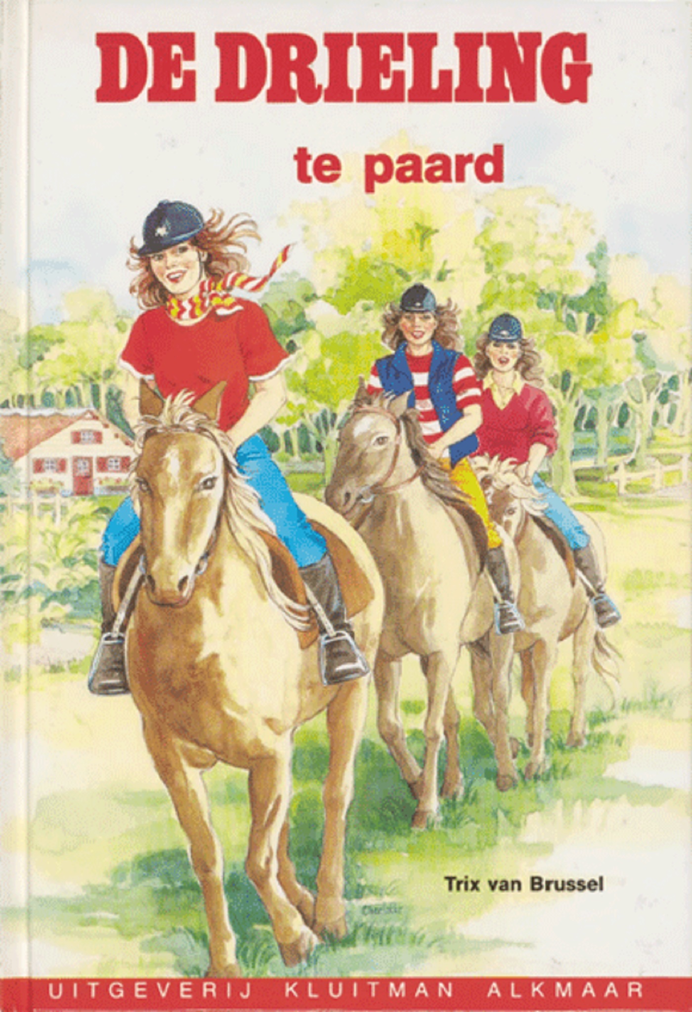 Omslag van De drieling te paard