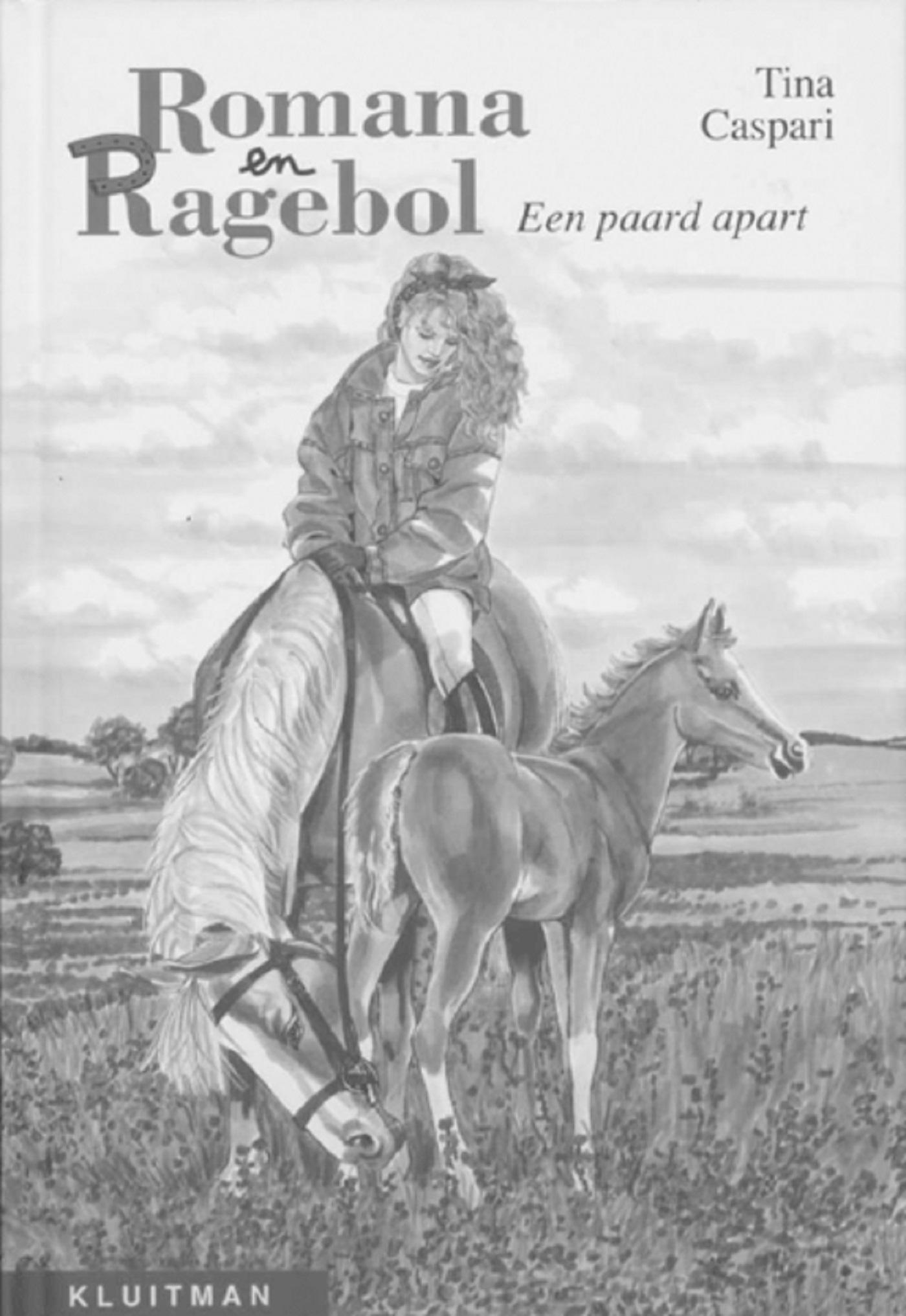 Omslag van Een paard apart