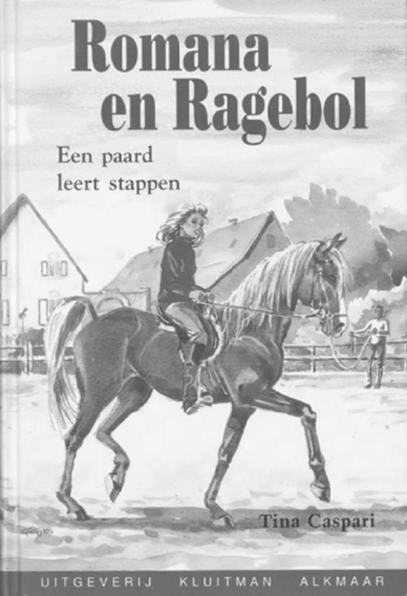 Omslag van Een paard leert stappen