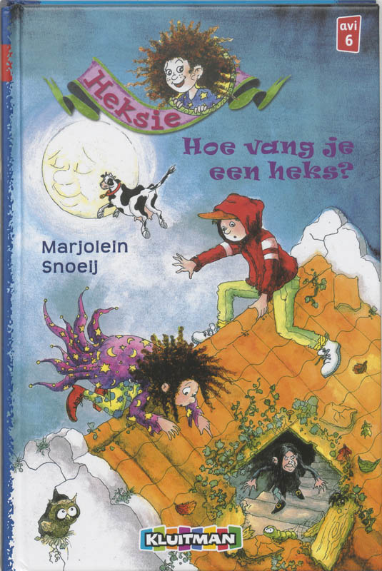 Omslag van Hoe vang je een heks?