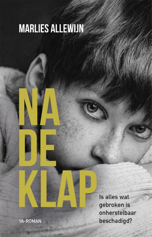 Omslag van Na de klap
