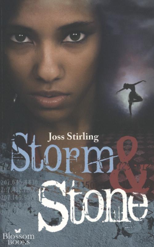 Omslag van Storm en Stone