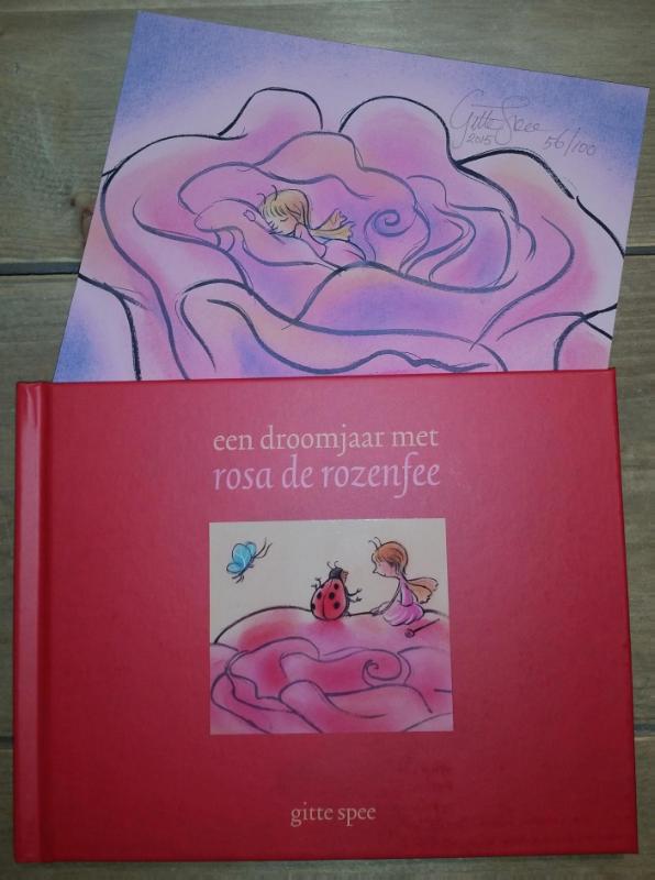 Omslag van een droomjaar met Roza de rozenfee
