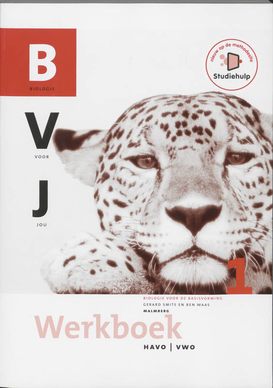 Omslag van Werkboek