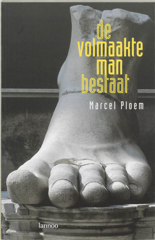Omslag van De volmaakte man bestaat!